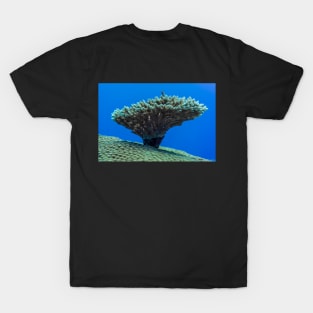 tiny reef fish on the small top coral which is on the big coral top T-Shirt